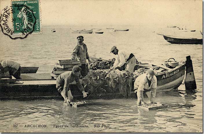 Types de sardiniers