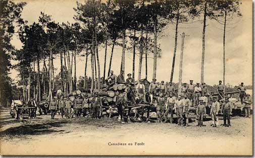 Canadiens en forêt