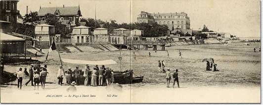 Un banc d'huîtres sur la plage