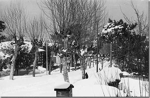 La descente de l'avenue Gambetta