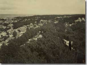 La ville et la forêt