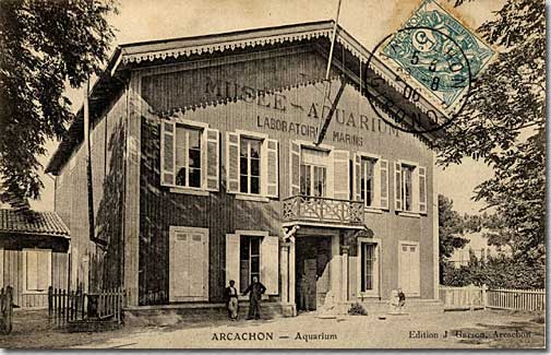 L'aquarium