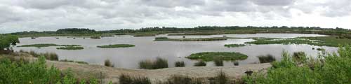 Le parc ornithologique du Teich