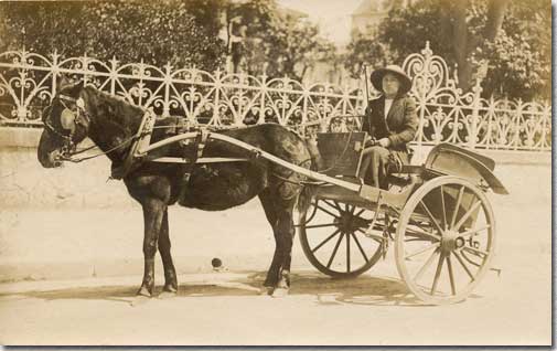 La carriole de Mme Dubos